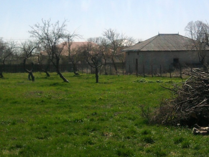 Fotografie0341 - LA FERMA MEA