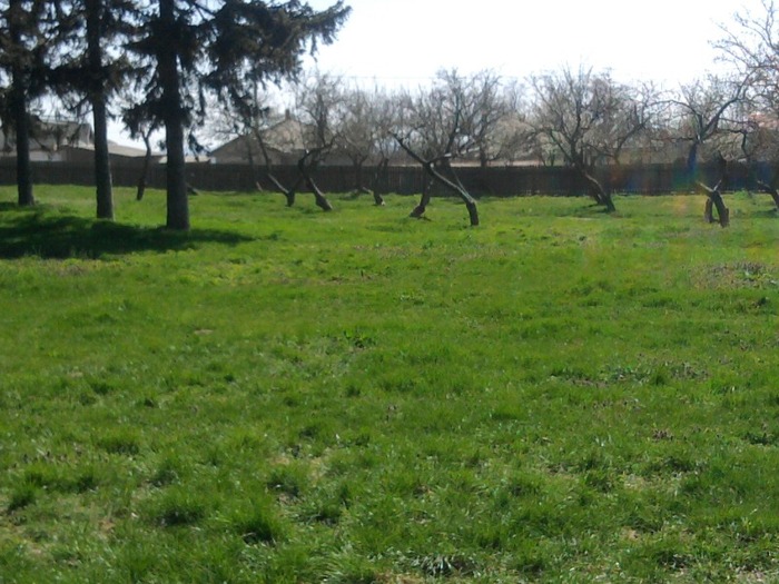 Fotografie0342 - LA FERMA MEA