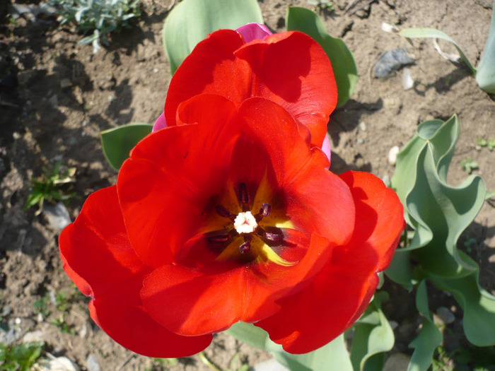 011