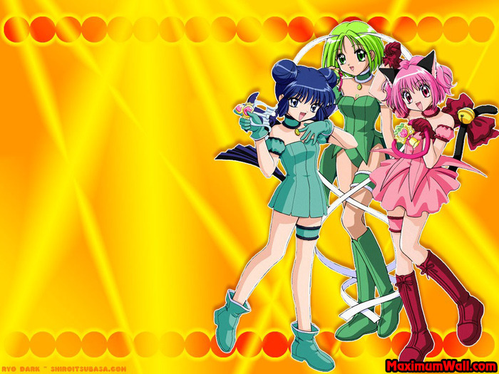 20061231-photo_fond_ecran_wallpaper_mangas_tokyo_mew_mew_0012 - Wallpaper