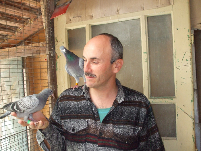 DSCF7471 - Cactus-pigeon-man