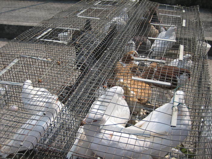 IMG_3536 - 2011 expo it