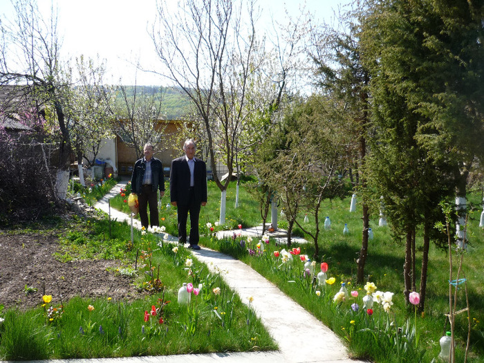 scumpul meu bunicu' imediat dupa iesirea din spital in 23 aprilie 2011 - Animalute si pasari