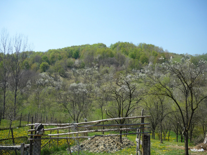 acasa la bunicul in 23 aprilie 2011