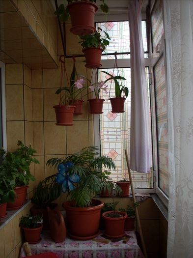 Photo 445