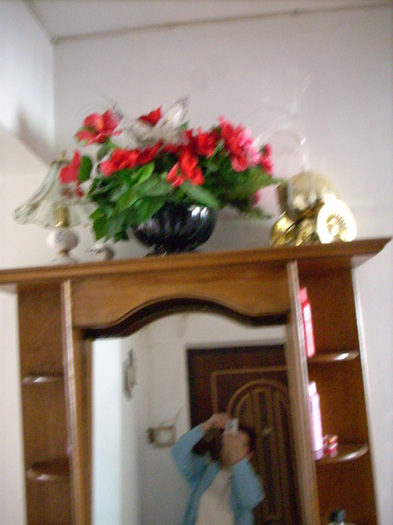 Photo 449