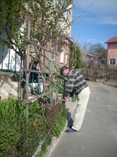 Photo 456