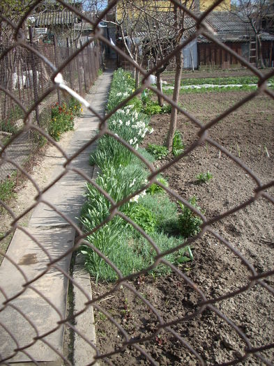 Photo 457