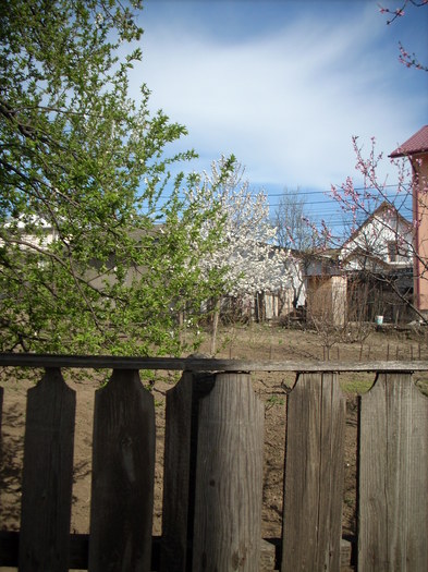 Photo 462