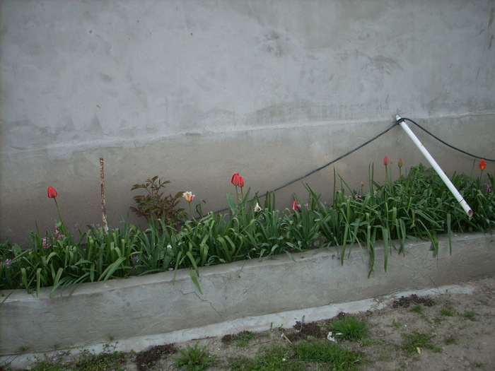 Photo 459