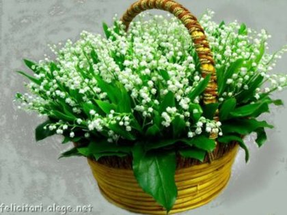 28 - Cine vrea sa fim prieteni