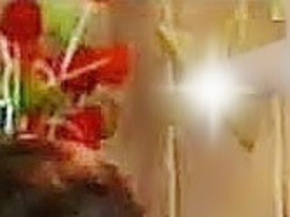 1296654050843_f_003 - Tema 5 Paulasartorfan