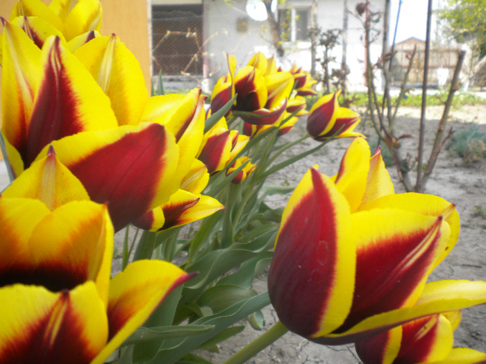 DSCN0957
