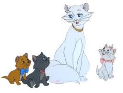 pisicile aristocrate - catei si pisici