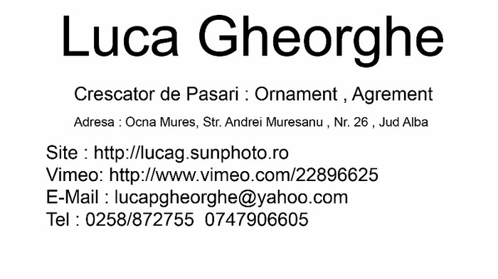 Luca Gheorghe - Date de contact