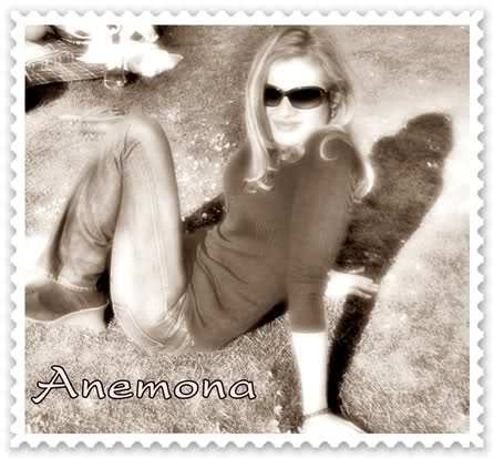 t7zzhw - anemona niculescu