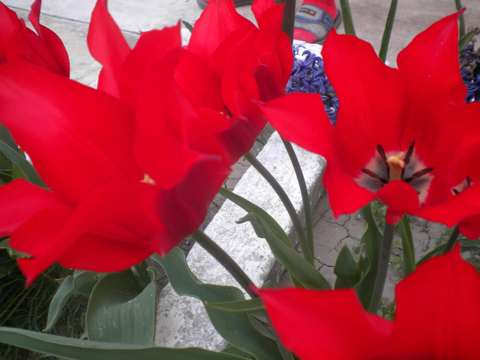 DSCN0958