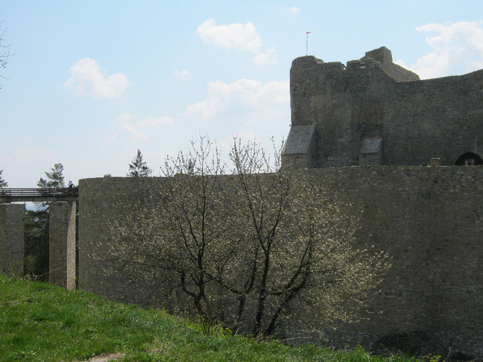 IMG_0216 - cetatea neamtului