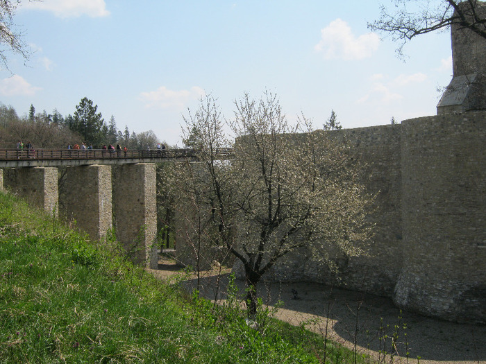IMG_0217 - cetatea neamtului