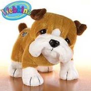 webkinz (24)