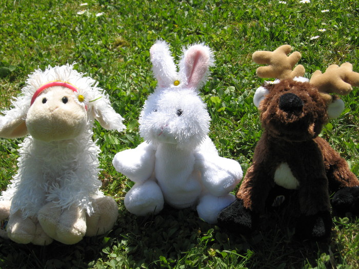 dicapitod,maxy si rudolph - Webkinz poze modificate