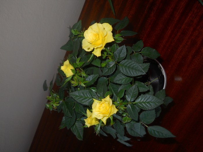DSCN1053