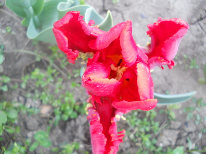 DSCN1055