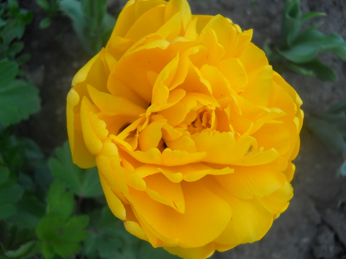 DSCN1057