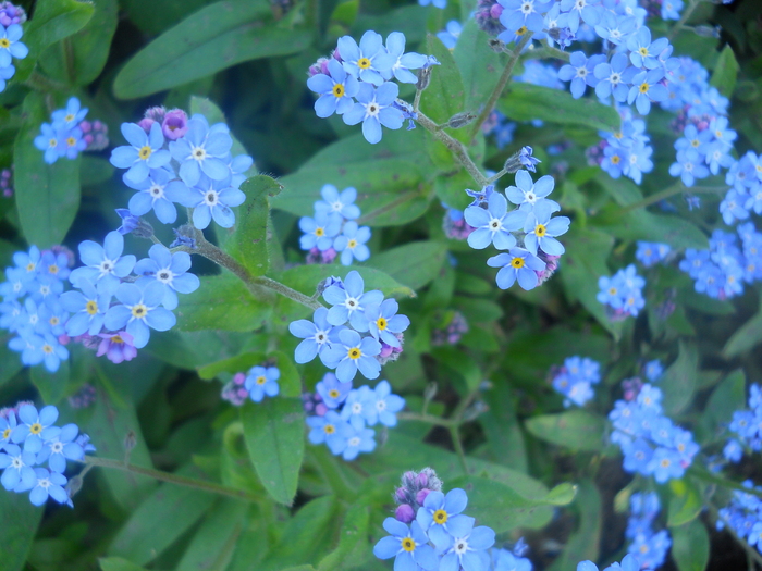 DSCN1066