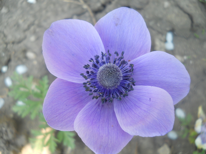 DSCN1080