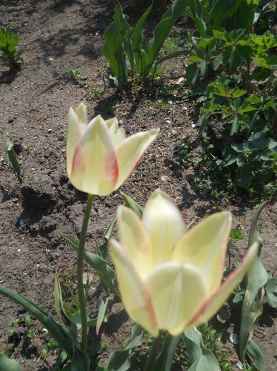 DSCN1083