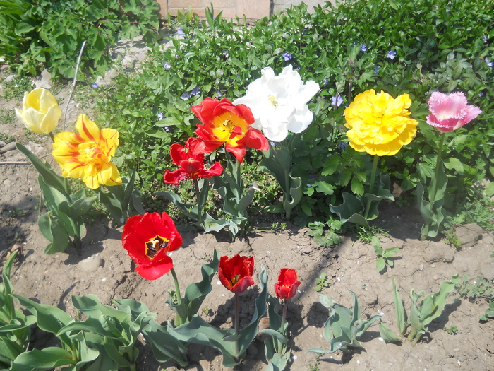 DSCN1088