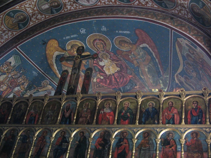 Ms.Podgoria Copou 019