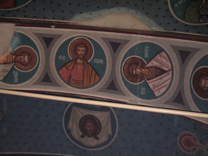 Ms.Podgoria Copou 026