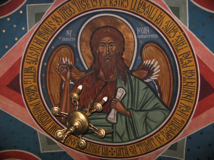 Ms.Podgoria Copou 029