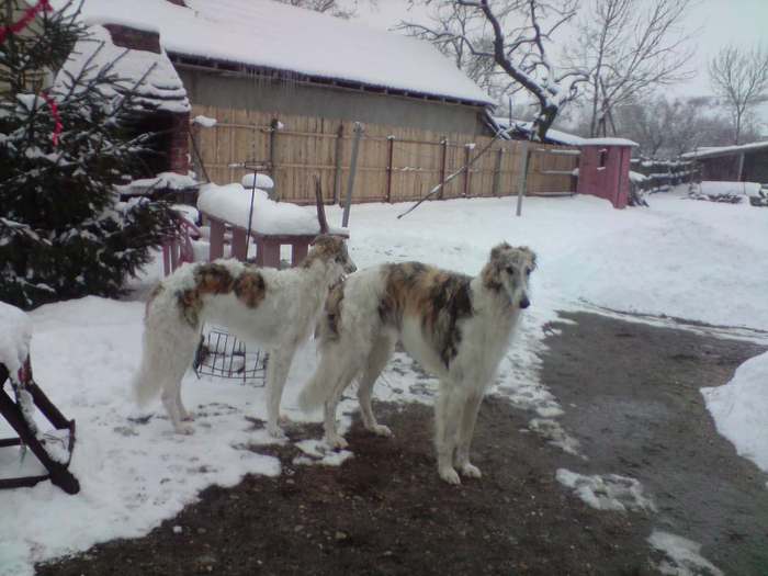 neg si roko mari - catey la 1 luna