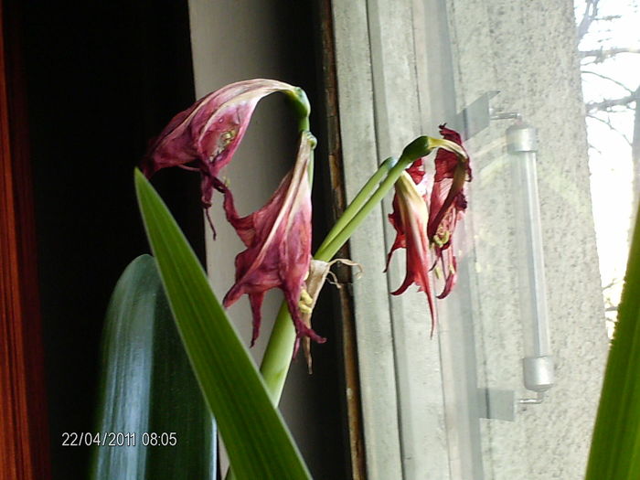 nu mai este frumos doar impresionant..