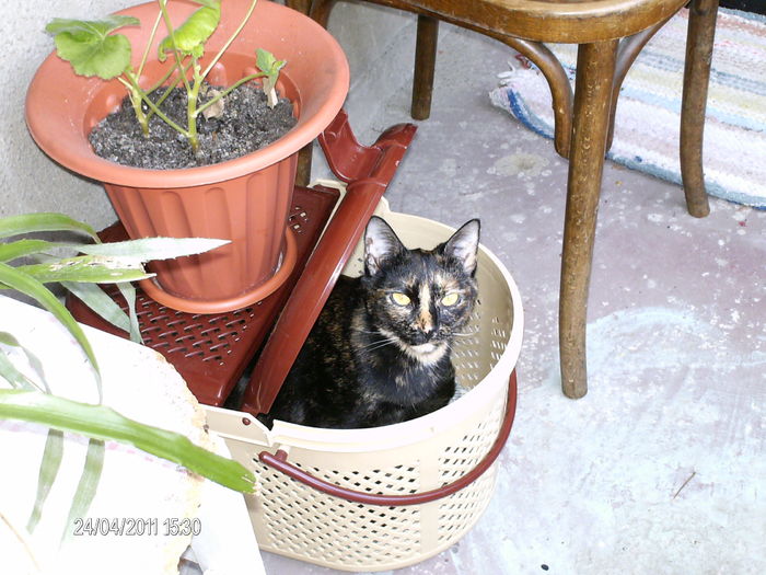 aprilie 077 - mita _2011