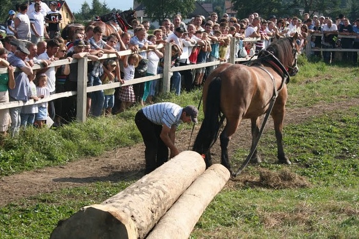 lopuszna_1 - concurs de cai