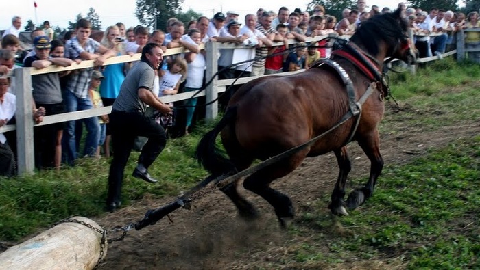 lopuszna_4 - concurs de cai