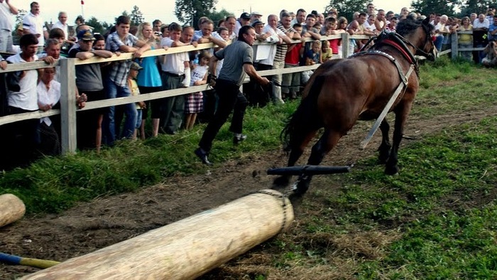 lopuszna_5 - concurs de cai