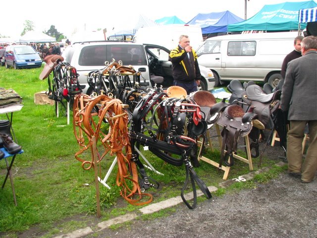 pajeczno_2010 (1) - targ cai1