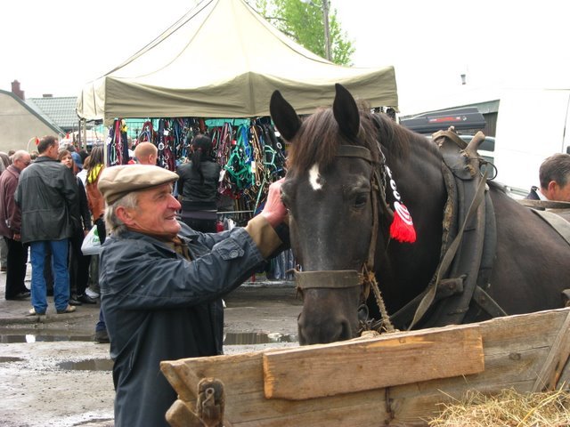 pajeczno_2010 (36) - targ cai1