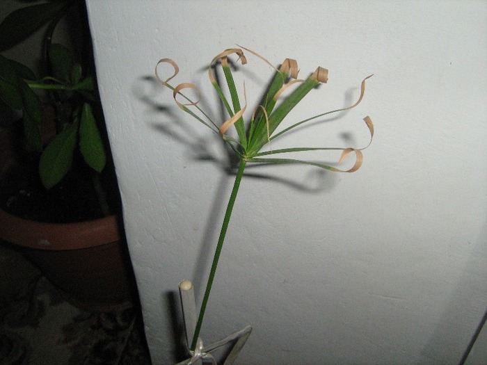 sept 2011
