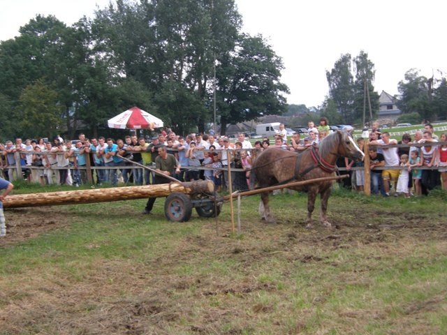 lopuszna_2010 (1) - concurs de tractiune