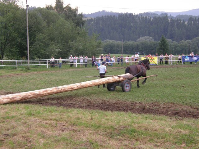 lopuszna_2010 (2) - concurs de tractiune