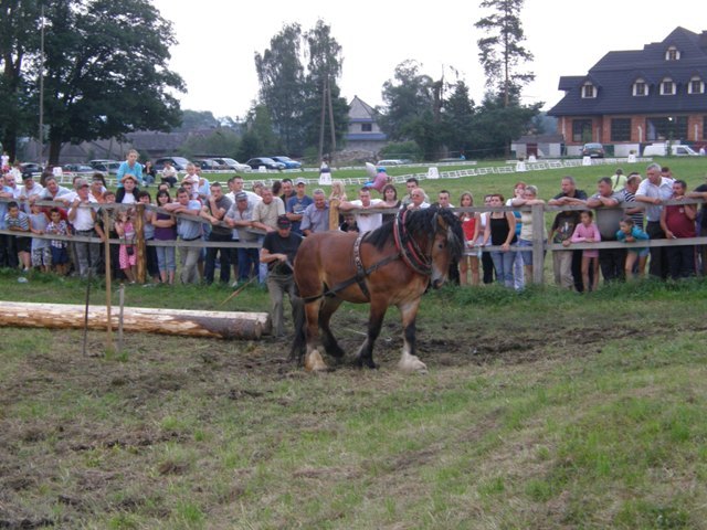 lopuszna_2010 (3)