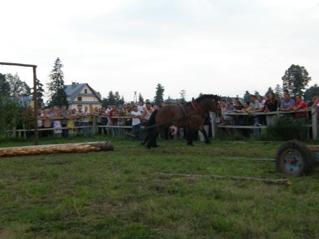 lopuszna_2010 (4)