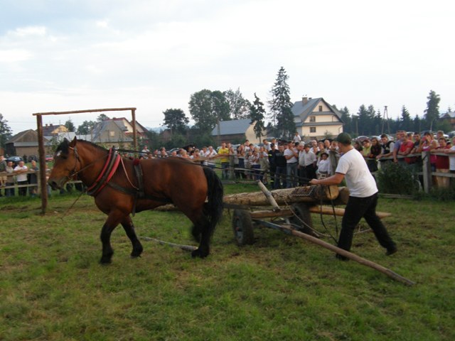 lopuszna_2010 (5)