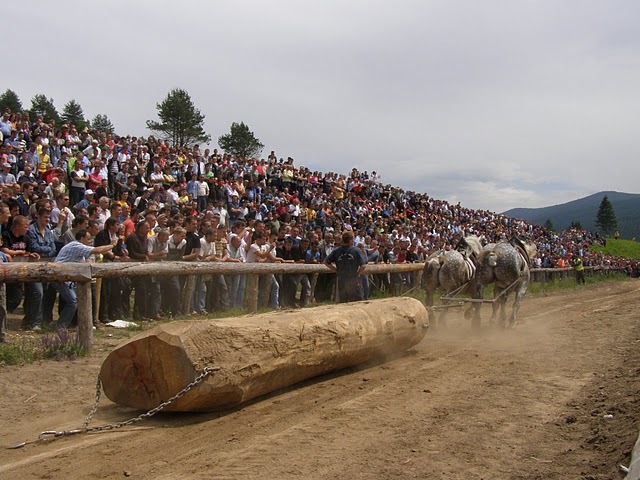 P6081021 - concurs de tractiune